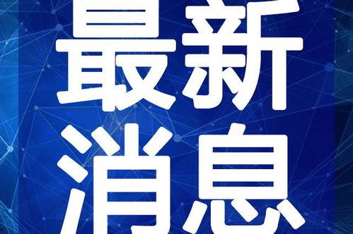 喜茶最新爆料视频下载,揭秘神秘新品背后的创新与潮流